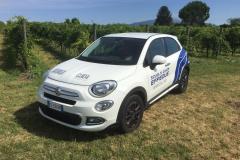 Autoscuola Effedue, patenti nautiche Verona, Patente nautica Verona, patente nautica Legnago, Patenti nautiche Legnago, Patenti nautiche Brescia, Patente nautica Brescia,patente nautica vicenza, patenti nautiche vicenza